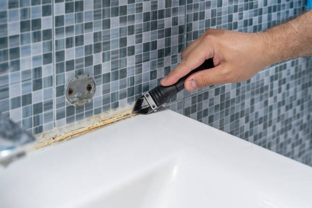Best Mold Remediation  in Herington, KS