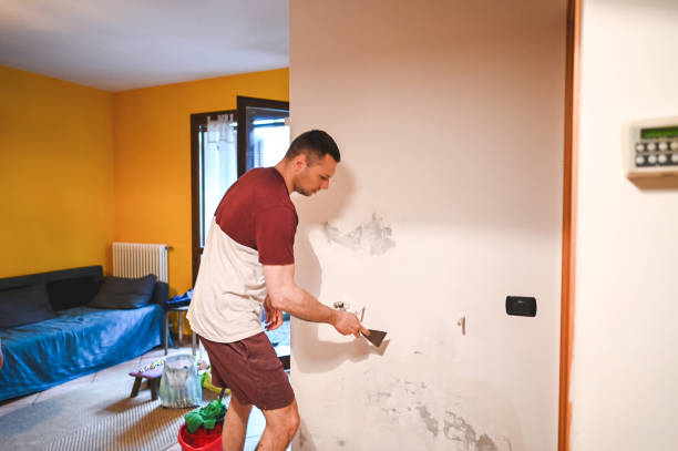 Best Fast Mold Removal  in Herington, KS